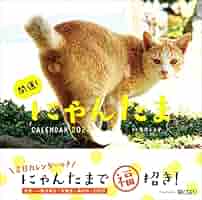 たまにゃん にゃんにゃんちいたま（ニタマ） | たま駅長グッズショップ